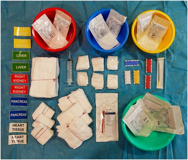 Abdominal Organ Retrieval Pack